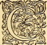 An illustration from Gvlielmi Rondeletii ... Libri de piscibus marinis, in quibus veræ piscium effigies expressæ sunt .. (1554)