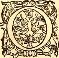 An illustration from Gvlielmi Rondeletii ... Libri de piscibus marinis, in quibus veræ piscium effigies expressæ sunt .. (1554)