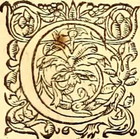 An illustration from Gvlielmi Rondeletii ... Libri de piscibus marinis, in quibus veræ piscium effigies expressæ sunt .. (1554)