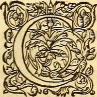 An illustration from Gvlielmi Rondeletii ... Libri de piscibus marinis, in quibus veræ piscium effigies expressæ sunt .. (1554)