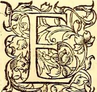 An illustration from Gvlielmi Rondeletii ... Libri de piscibus marinis, in quibus veræ piscium effigies expressæ sunt .. (1554)