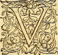 An illustration from Gvlielmi Rondeletii ... Libri de piscibus marinis, in quibus veræ piscium effigies expressæ sunt .. (1554)