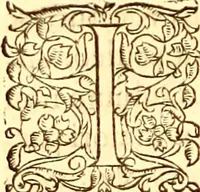 An illustration from Gvlielmi Rondeletii ... Libri de piscibus marinis, in quibus veræ piscium effigies expressæ sunt .. (1554)
