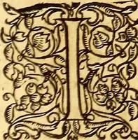 An illustration from Gvlielmi Rondeletii ... Libri de piscibus marinis, in quibus veræ piscium effigies expressæ sunt .. (1554)