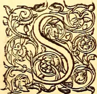 An illustration from Gvlielmi Rondeletii ... Libri de piscibus marinis, in quibus veræ piscium effigies expressæ sunt .. (1554)