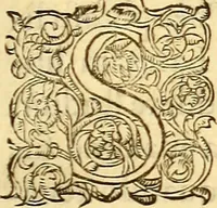 An illustration from Gvlielmi Rondeletii ... Libri de piscibus marinis, in quibus veræ piscium effigies expressæ sunt .. (1554)