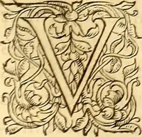 An illustration from Gvlielmi Rondeletii ... Libri de piscibus marinis, in quibus veræ piscium effigies expressæ sunt .. (1554)