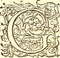 An illustration from Gvlielmi Rondeletii ... Libri de piscibus marinis, in quibus veræ piscium effigies expressæ sunt .. (1554)