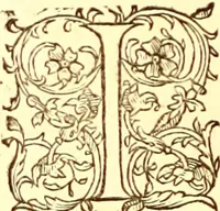 An illustration from Gvlielmi Rondeletii ... Libri de piscibus marinis, in quibus veræ piscium effigies expressæ sunt .. (1554)