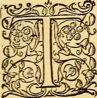 An illustration from Gvlielmi Rondeletii ... Libri de piscibus marinis, in quibus veræ piscium effigies expressæ sunt .. (1554)