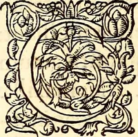 Picture 38 of 837 from Gvlielmi Rondeletii ... Libri de piscibus marinis, in quibus veræ piscium effigies expressæ sunt .. (1554), leaf 77
