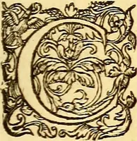 An illustration from Gvlielmi Rondeletii ... Libri de piscibus marinis, in quibus veræ piscium effigies expressæ sunt .. (1554)