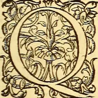 An illustration from Gvlielmi Rondeletii ... Libri de piscibus marinis, in quibus veræ piscium effigies expressæ sunt .. (1554)
