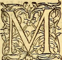 An illustration from Gvlielmi Rondeletii ... Libri de piscibus marinis, in quibus veræ piscium effigies expressæ sunt .. (1554)