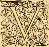 An illustration from Gvlielmi Rondeletii ... Libri de piscibus marinis, in quibus veræ piscium effigies expressæ sunt .. (1554)