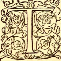 An illustration from Gvlielmi Rondeletii ... Libri de piscibus marinis, in quibus veræ piscium effigies expressæ sunt .. (1554)