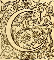 An illustration from Gvlielmi Rondeletii ... Libri de piscibus marinis, in quibus veræ piscium effigies expressæ sunt .. (1554)