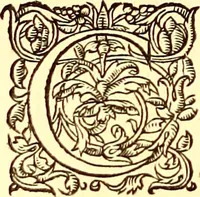 An illustration from Gvlielmi Rondeletii ... Libri de piscibus marinis, in quibus veræ piscium effigies expressæ sunt .. (1554)