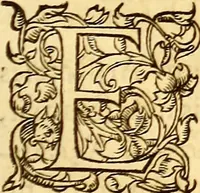 An illustration from Gvlielmi Rondeletii ... Libri de piscibus marinis, in quibus veræ piscium effigies expressæ sunt .. (1554)