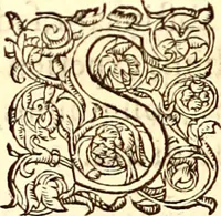 Picture 39 of 837 from Gvlielmi Rondeletii ... Libri de piscibus marinis, in quibus veræ piscium effigies expressæ sunt .. (1554), leaf 79