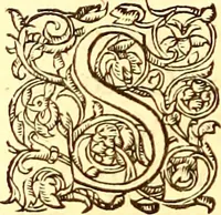 An illustration from Gvlielmi Rondeletii ... Libri de piscibus marinis, in quibus veræ piscium effigies expressæ sunt .. (1554)