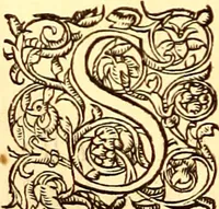 An illustration from Gvlielmi Rondeletii ... Libri de piscibus marinis, in quibus veræ piscium effigies expressæ sunt .. (1554)