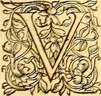 An illustration from Gvlielmi Rondeletii ... Libri de piscibus marinis, in quibus veræ piscium effigies expressæ sunt .. (1554)