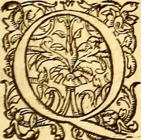 An illustration from Gvlielmi Rondeletii ... Libri de piscibus marinis, in quibus veræ piscium effigies expressæ sunt .. (1554)