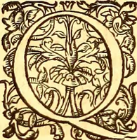 An illustration from Gvlielmi Rondeletii ... Libri de piscibus marinis, in quibus veræ piscium effigies expressæ sunt .. (1554)