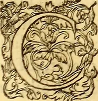 An illustration from Gvlielmi Rondeletii ... Libri de piscibus marinis, in quibus veræ piscium effigies expressæ sunt .. (1554)
