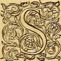 Picture 40 of 837 from Gvlielmi Rondeletii ... Libri de piscibus marinis, in quibus veræ piscium effigies expressæ sunt .. (1554), leaf 82