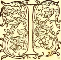 An illustration from Gvlielmi Rondeletii ... Libri de piscibus marinis, in quibus veræ piscium effigies expressæ sunt .. (1554)