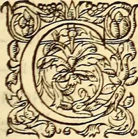 Picture 41 of 837 from Gvlielmi Rondeletii ... Libri de piscibus marinis, in quibus veræ piscium effigies expressæ sunt .. (1554), leaf 84