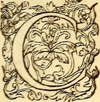 An illustration from Gvlielmi Rondeletii ... Libri de piscibus marinis, in quibus veræ piscium effigies expressæ sunt .. (1554)
