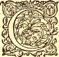 An illustration from Gvlielmi Rondeletii ... Libri de piscibus marinis, in quibus veræ piscium effigies expressæ sunt .. (1554)