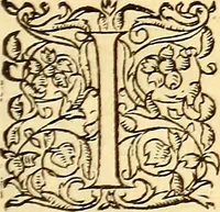 An illustration from Gvlielmi Rondeletii ... Libri de piscibus marinis, in quibus veræ piscium effigies expressæ sunt .. (1554)