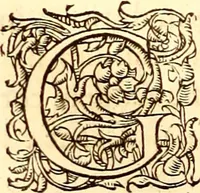 An illustration from Gvlielmi Rondeletii ... Libri de piscibus marinis, in quibus veræ piscium effigies expressæ sunt .. (1554)