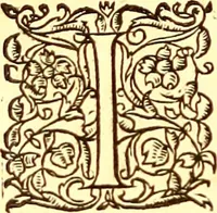An illustration from Gvlielmi Rondeletii ... Libri de piscibus marinis, in quibus veræ piscium effigies expressæ sunt .. (1554)