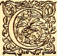 An illustration from Gvlielmi Rondeletii ... Libri de piscibus marinis, in quibus veræ piscium effigies expressæ sunt .. (1554)