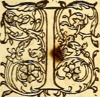 An illustration from Gvlielmi Rondeletii ... Libri de piscibus marinis, in quibus veræ piscium effigies expressæ sunt .. (1554)