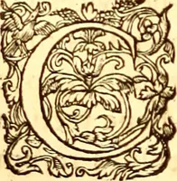 An illustration from Gvlielmi Rondeletii ... Libri de piscibus marinis, in quibus veræ piscium effigies expressæ sunt .. (1554)