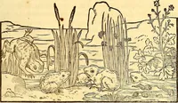 An illustration from Gvlielmi Rondeletii ... Libri de piscibus marinis, in quibus veræ piscium effigies expressæ sunt .. (1554)