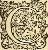 An illustration from Gvlielmi Rondeletii ... Libri de piscibus marinis, in quibus veræ piscium effigies expressæ sunt .. (1554)
