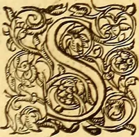An illustration from Gvlielmi Rondeletii ... Libri de piscibus marinis, in quibus veræ piscium effigies expressæ sunt .. (1554)