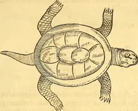 An illustration from Gvlielmi Rondeletii ... Libri de piscibus marinis, in quibus veræ piscium effigies expressæ sunt .. (1554)