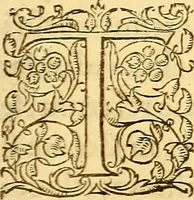 An illustration from Gvlielmi Rondeletii ... Libri de piscibus marinis, in quibus veræ piscium effigies expressæ sunt .. (1554)