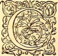 An illustration from Gvlielmi Rondeletii ... Libri de piscibus marinis, in quibus veræ piscium effigies expressæ sunt .. (1554)