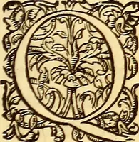 An illustration from Gvlielmi Rondeletii ... Libri de piscibus marinis, in quibus veræ piscium effigies expressæ sunt .. (1554)