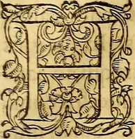 An illustration from Gvlielmi Rondeletii ... Libri de piscibus marinis, in quibus veræ piscium effigies expressæ sunt .. (1554)