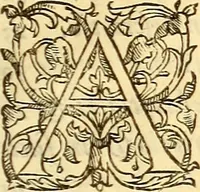 An illustration from Gvlielmi Rondeletii ... Libri de piscibus marinis, in quibus veræ piscium effigies expressæ sunt .. (1554)